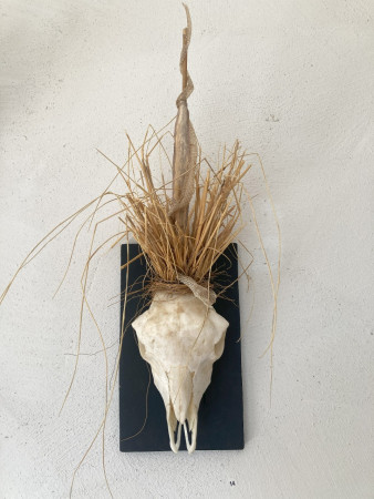 Voodoo